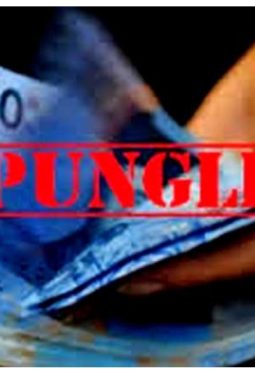 Sorotan Dugaan Pungli, APEPKA Desak Investigasi Dishub Palangka Raya