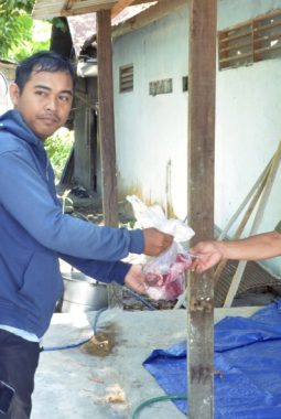 DPW IPJI Kalteng Gelar Pemotongan Sapi Kurban, Perkuat Kepedulian Sosial dan Kebersamaan