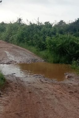 Harapan HUT Kalteng, Warga Bangkuang Soroti Jalan Barito Selatan