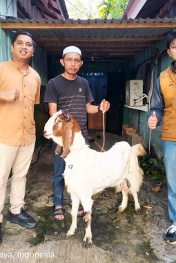 Bantuan Kambing Kurban PT ABB Disambut Baik IPJI Kalteng dan FKM