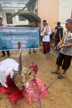 Semangat Berbagi, Hewan Kurban Disalurkan untuk Warga Karau Kuala