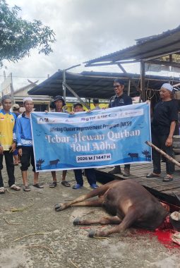 Iduladha 1447 H, PT Asmin Bara Bronang dan PT Tuah Turangga Agung Salurkan Sapi Kurban di Bangkuang