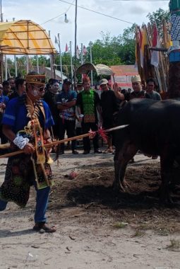 Ritual tiwah upacara suci umat hindu kaharingan.