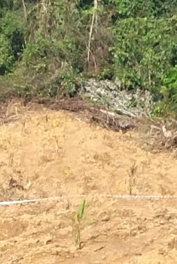 Kesepakatan Ganti Rugi, Warga Bipak Kali Tagih Janji PT BPM