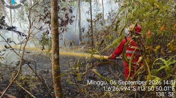 Brigade Karhutla KPHP Kahayan Hulu Tangani Kebakaran Kuala Kurun