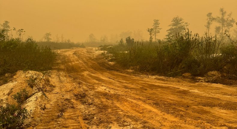 foto slider headline